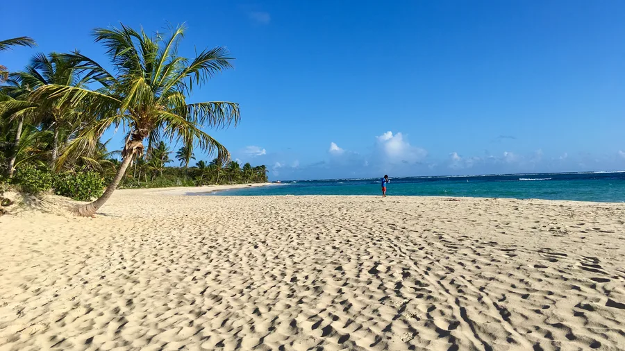 Flamenco Beach, Culebra: Powder Sand, No Shade