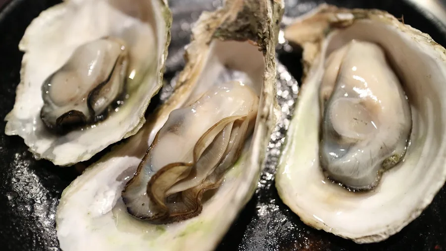 Apalachicola Oysters and Mullet Dip