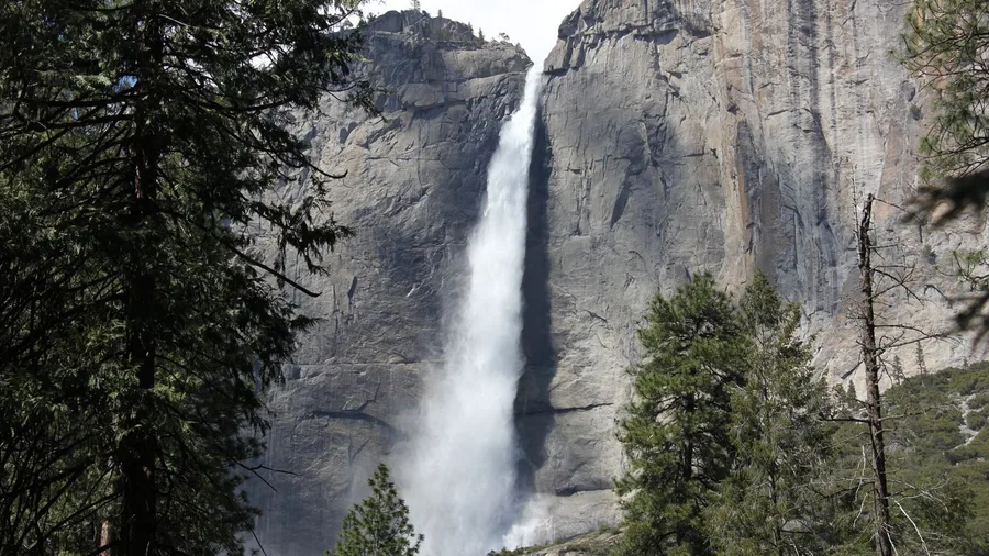 Lower Yosemite Fall Paved Loop