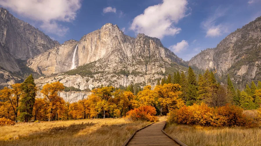 Cook's Meadow Flat Boardwalk Loop