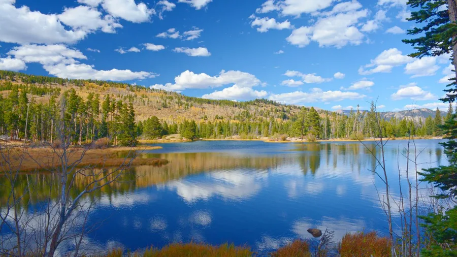 Sprague Lake Bench-Filled Loop