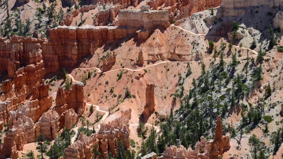 Bryce Rim Trail to Sunset Point