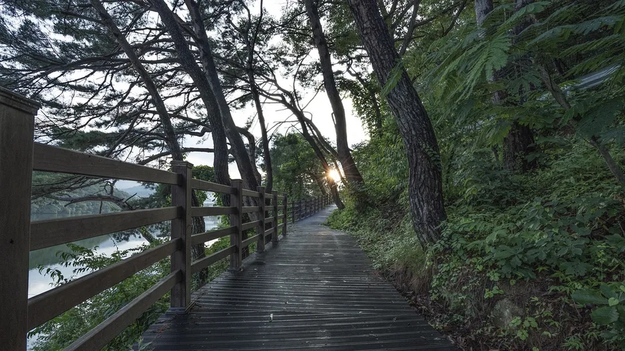 Bellingham South Bay Trail, Washington