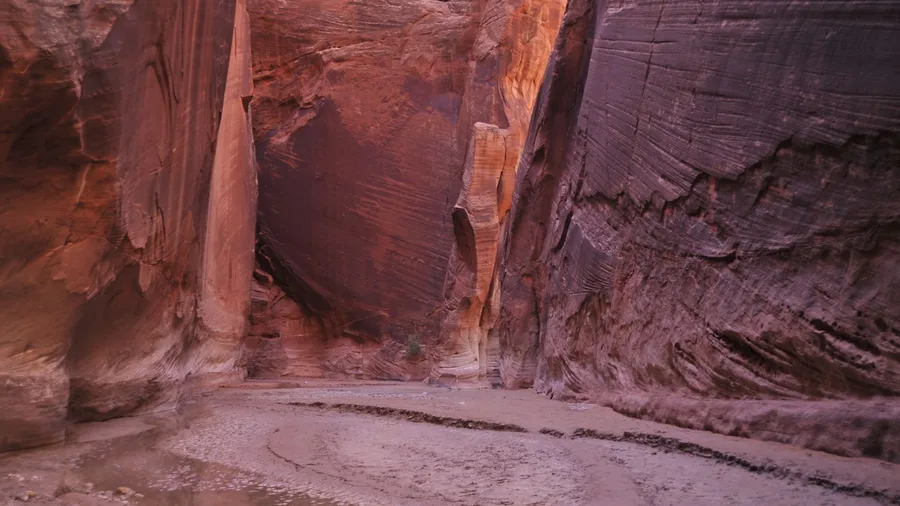 Forget the Grand Canyon Crowds — These 8 Canyon Hikes Are Just as Jaw-Dropping Little Wild Horse's Twisty Slot Loop