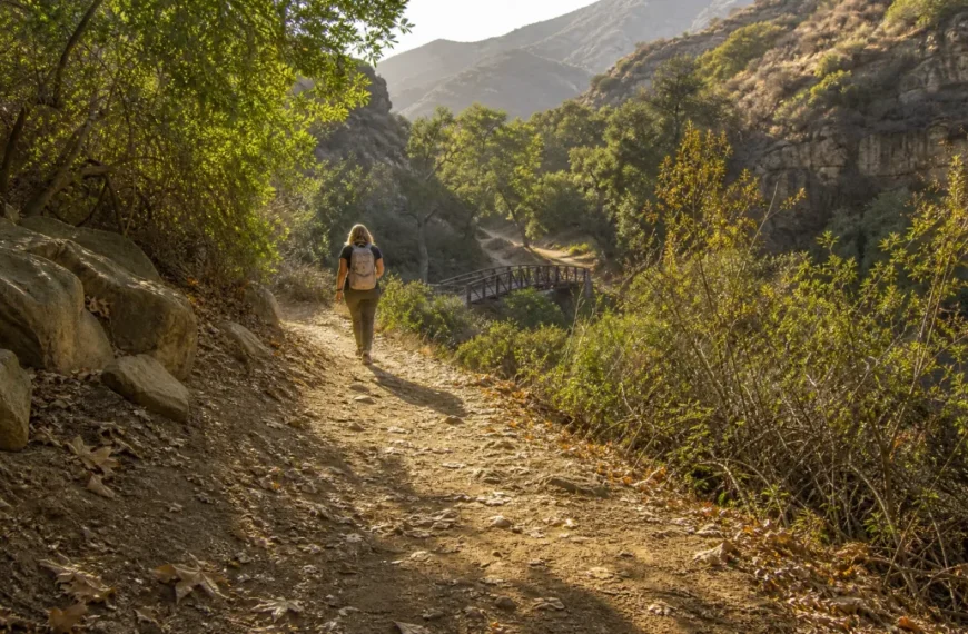 7 Free Hiking Trails Near Major US Cities That Feel Hours From Civilization