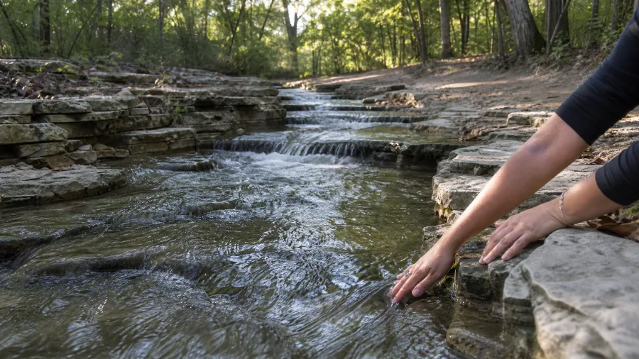 Waterfall Glen's Limestone Loop Outside Chicago
