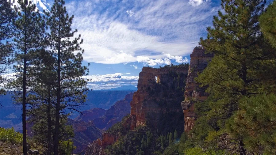 Juniper Mesa, Grand Canyon North Rim