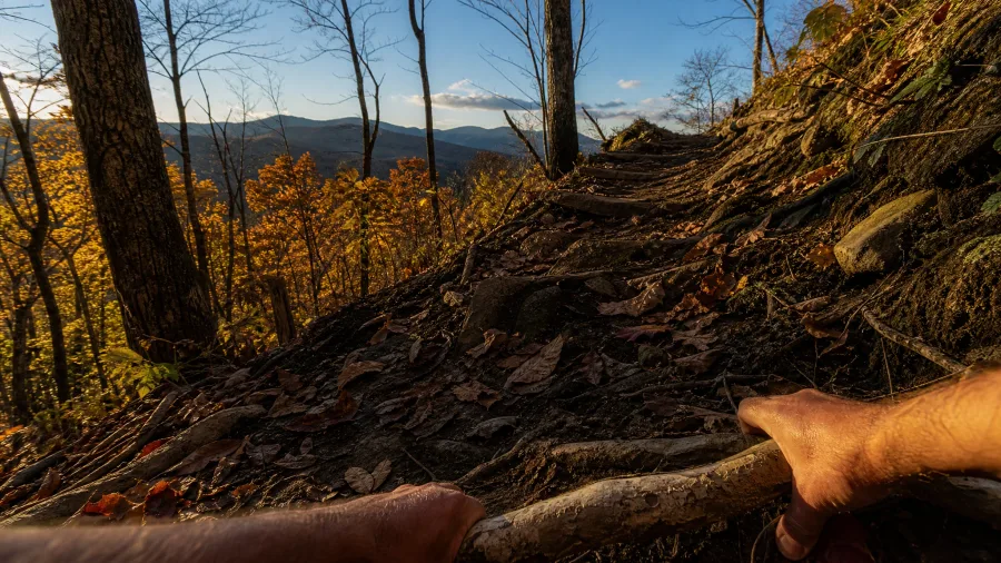 Redbird Ridge, Great Smoky Mountains
