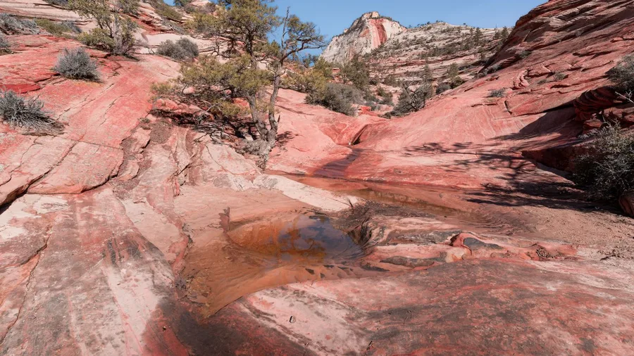 Sentinel Draw, Zion