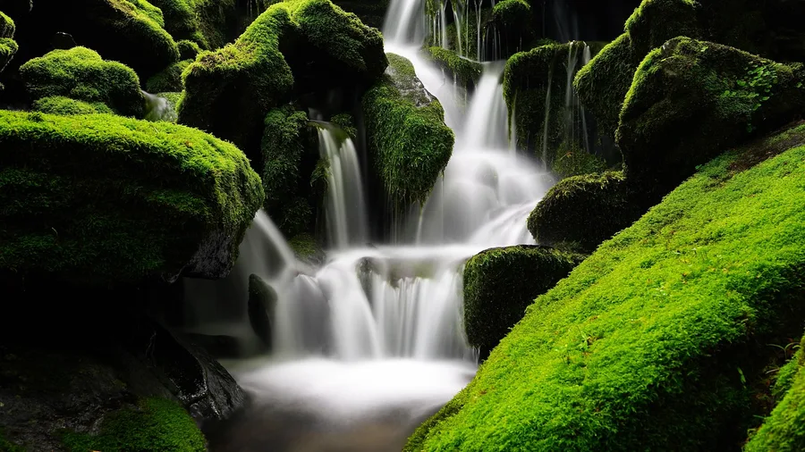 Tumbledown Brook Trail, White Mountains National Forest