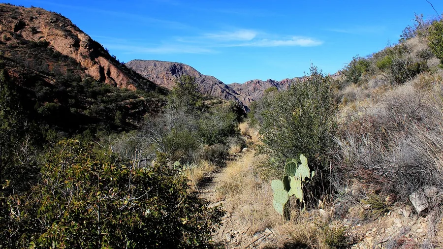 Miller Creek Trail, Big Bend