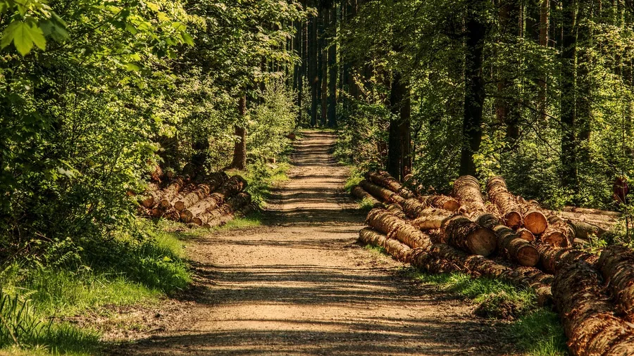 Fish Creek, Wisconsin: Peninsula Park Trails
