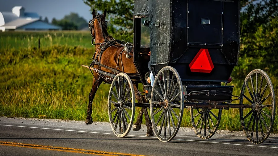 Shipshewana, Indiana: Amish Market and Buggy Lanes