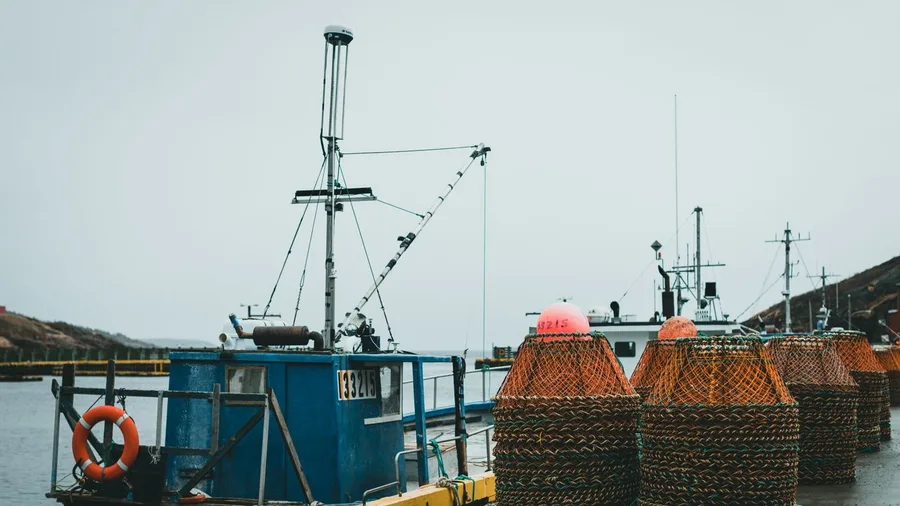 Cedar Key's Working Clam Waterfront