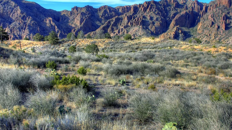 Big Bend for Remote Winter Hiking