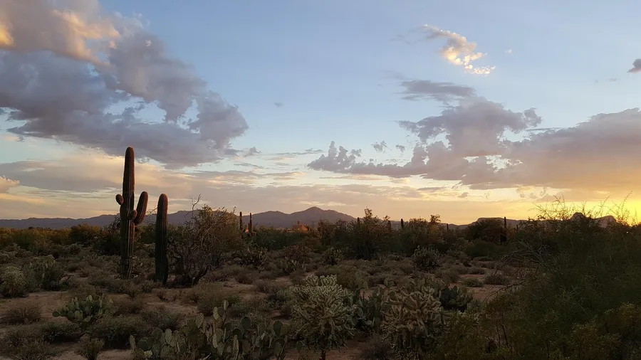 Tucson, Arizona: Desert Sun, No Gulf Humidity