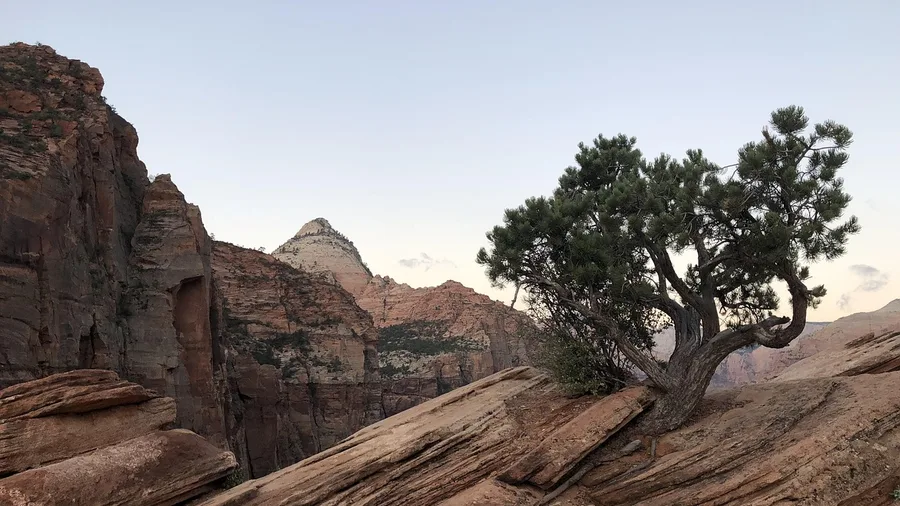 Canyon Overlook Trail Above Zion