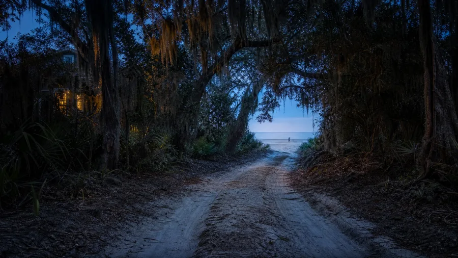 Daufuskie Island, South Carolina: Atlantic Shore