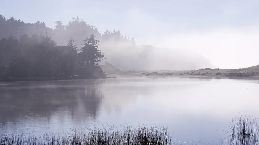 Port Orford, Oregon: Battle Rock Beach
