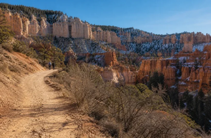 The Most Beautiful Winter Hikes in America Don't Require Snowshoes