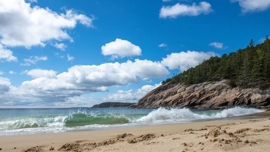 Acadia's Ocean Path