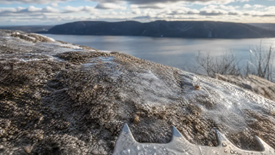 Hudson Highlands' Bear Mountain Loop
