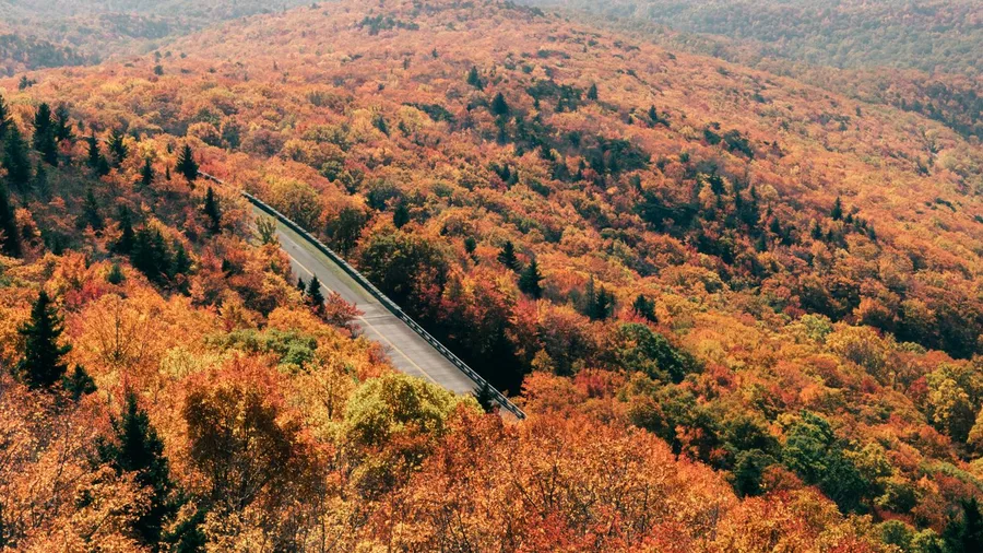Graveyard Fields Loop, North Carolina