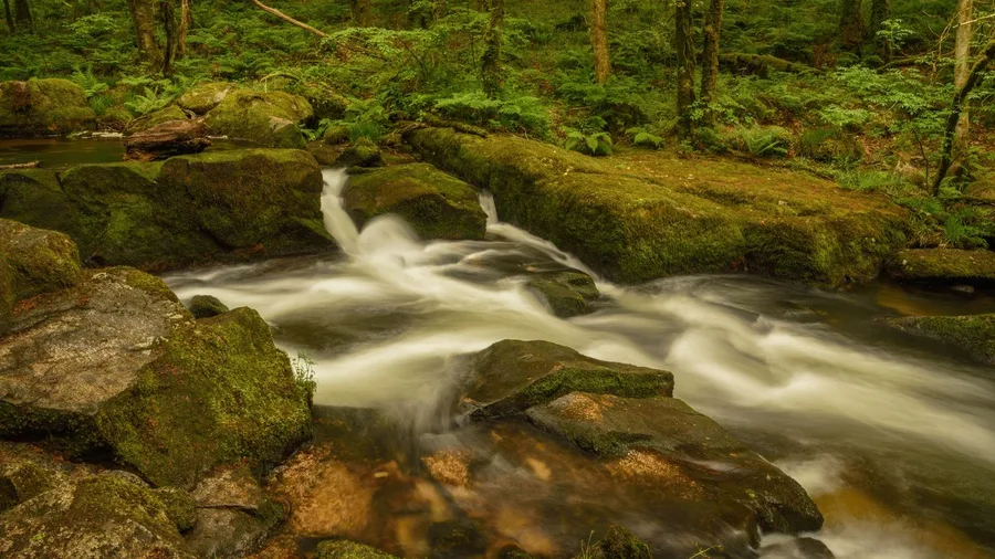 Fiery Gizzard Trail, Tennessee