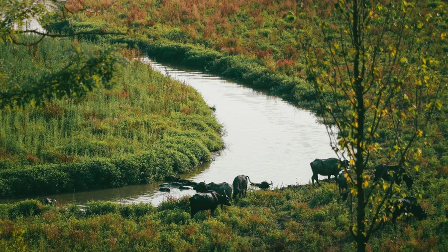 Buffalo River Trail, Arkansas