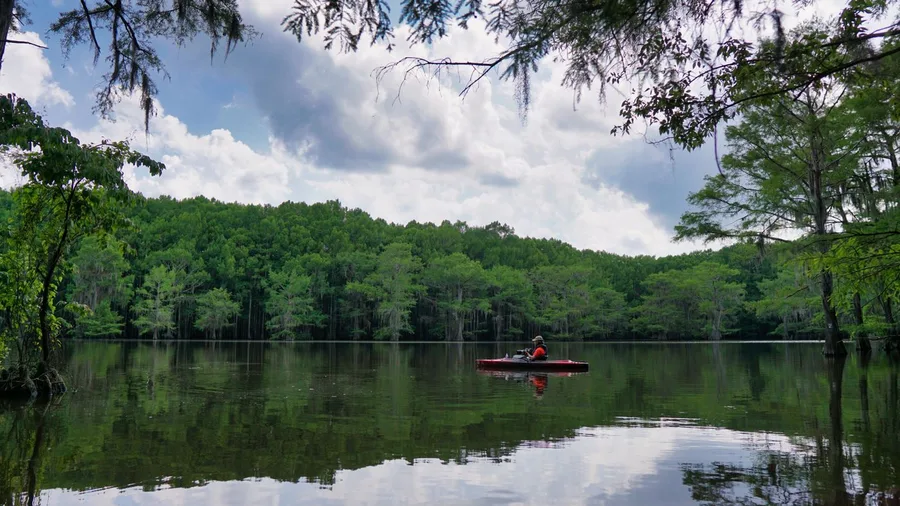 Caddo Lake Cypress Loop, Texas