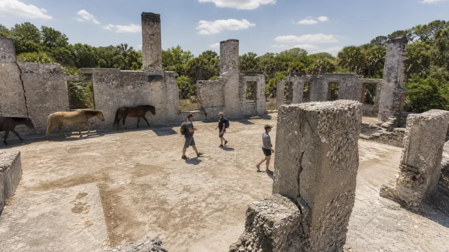 Cumberland Island, Georgia: Car-Free Beach and Feral Horses