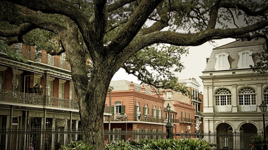 New Orleans: City Park Oaks Draped in Lights