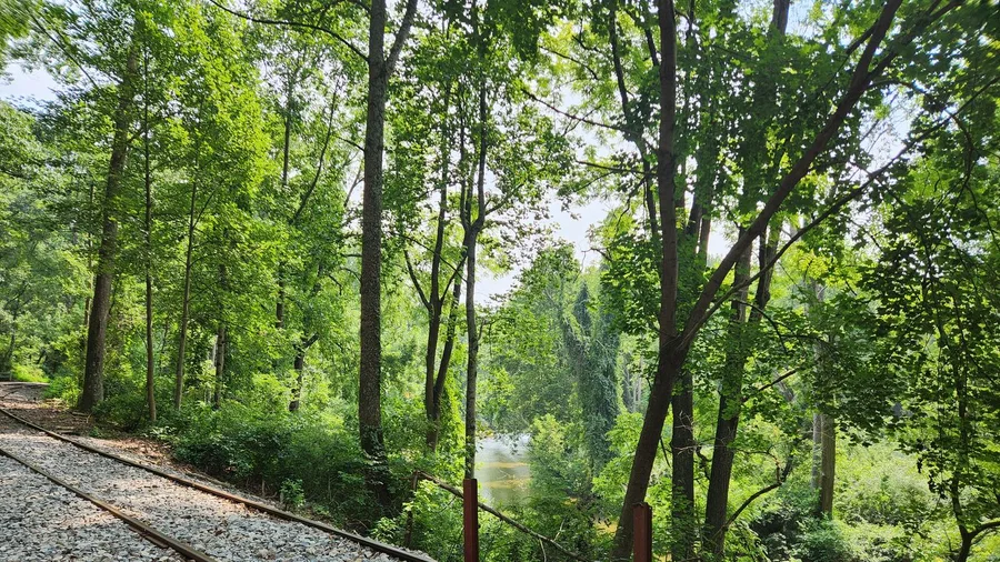 Mouse Creek Falls on Big Creek