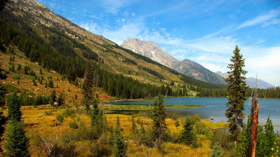 Blue Lake Trail for an Easy Alpine Lake